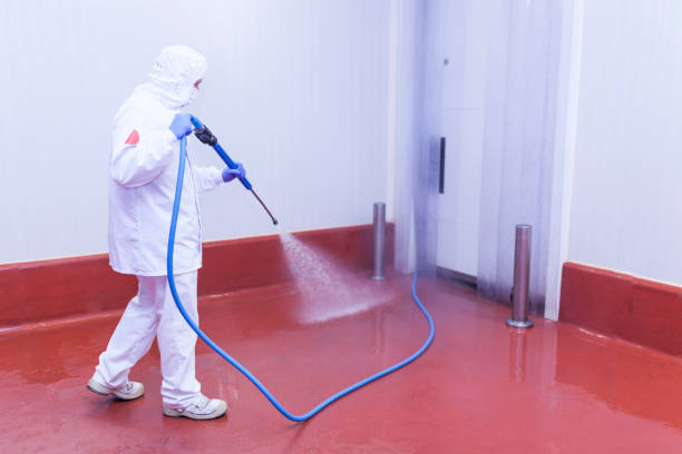 Best Graffiti Removal  in Colorado City, TX